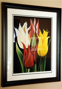 Image description is not available for 2007.137